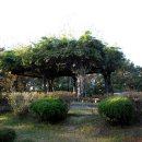 부여농협주유소 이미지