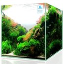 주식회사 하이제스트 이미지