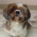 GS25 망원중앙 이미지