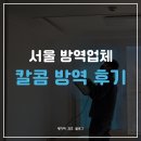 칼콤