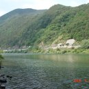 금강올갱이해장국 이미지