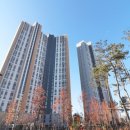 오부자로14 이미지