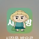 아현청과