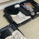 시티팜 약국 | [신혼여행✈️ 이탈리아·스위스 8박10일] ① 인천공항 다락휴 &amp; 대한항공 KE931 로마행 후기