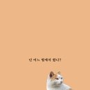 비에프푸드 이미지