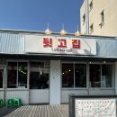 뒷고집