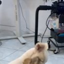 쏭트리밍 이미지