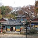 진주 이미지