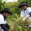 첨단기업3로-2 이미지