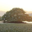 백마권역마을 이미지