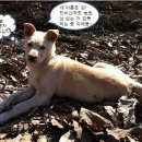 쉬리농장 이미지