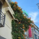 퀸당구클럽 이미지