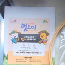 프로젝트삼백