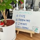 마마베이크 이미지