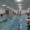 향남 KSC 키즈풀 이미지