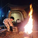 꾸러기 생태놀이 | 태안 어은돌힐링캠핑장 파쇄석S존 01번(동영상有) 반려견동반 캠핑로그