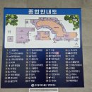 중앙셀프주유소 | 경부고속도로 하행 망향휴게소 주유소 휘발유가 저렴