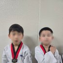 태권도 영웅체육관 | [영웅들의 공인단 도전!] 명륜동태권도 동래태권도 동래명륜동태권도