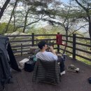 [김해] 신어산자연숲캠핑장 산 6동 이용후기 | 조용하게 쉬기 좋았던 벚꽃뷰 사이트