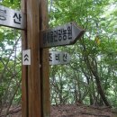 백암농원 Daum카페
