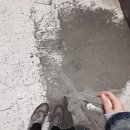 휘트니스에프엠 이미지