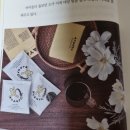 이안솔라 이미지