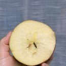 청송명가 네이버블로그