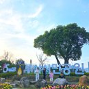 그루터기공원 | [부산] 육아동지들과 함께한 부산시민공원 모래놀이 &amp; 놀이터 투어! 봄소풍