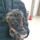 서경초교 이미지