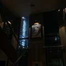 팀 드래곤 이미지