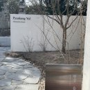 단비농산 | 애견동반 가능한 북촌 한옥마을 쇼룸 편강율 플래그십스토어 가볼만한곳