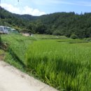 곡성-157 이미지