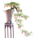 태경조경 이미지