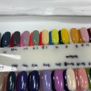 도진농장 | 2025년 8월 17일 - 31일