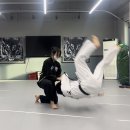 동양무술관 합기도 이미지