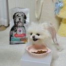 후츄스토어