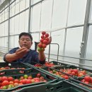 최종길농장 이미지