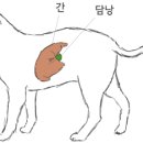 로얄동물메디컬센터w 이미지