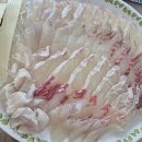 신바다 횟집 이미지