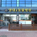 영대연합동물병원
