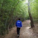 부산도시공사 노동조합 | 4월 부산 여행