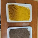 진성태권도 이미지