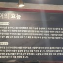 사상한방장어 이미지
