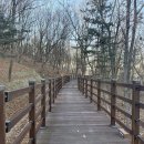 원수산 누리길 이미지