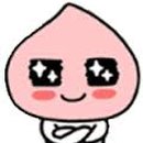 하나세인스톤1차 이미지