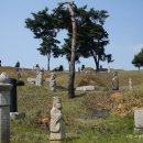 김지남 비갈 및 묘 이미지