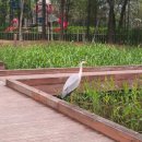 하얀마을어린이공원 이미지