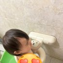 다미베베 | 아기 샤워핸들 비교 끝 : 베베릴렉스