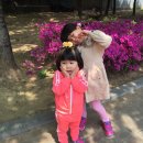 서부동공원 이미지