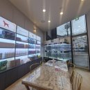 도그마루 강아지 고양이 양산화명점 이미지